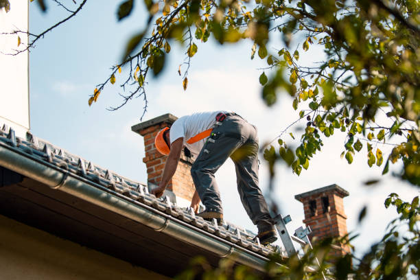 Best Sealant for Roof  in Harrisville, WV