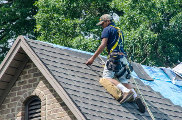 Best Best Roofing Contractors  in Harrisville, WV